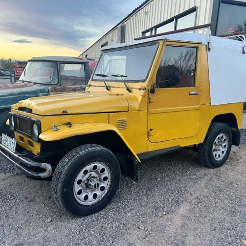 1982 Delta Mini Cruiser