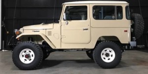 Proffitts Resurrection Land Cruisers