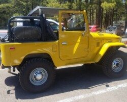 Proffitts Resurrection Land Cruisers