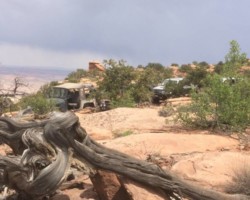 3679986891 Proffitts Resurrection Land Cruisers