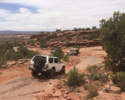 355508084 Proffitts Resurrection Land Cruisers
