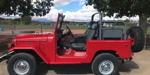 Proffitts Resurrection Land Cruisers