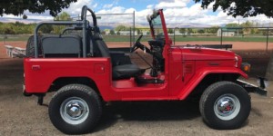 Proffitts Resurrection Land Cruisers