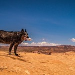 Cruise Moab 2019