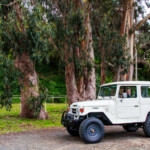3828315745 Proffitts Resurrection Land Cruisers